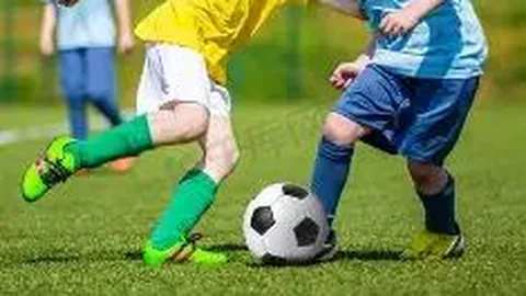 女子篮球队资格赛第三轮落幕，明年二月角逐奥运参赛资格