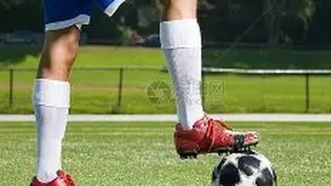 浦发银行举办座谈会，以冠军精神推动企业高质量发展，庆祝职工足球队夺冠